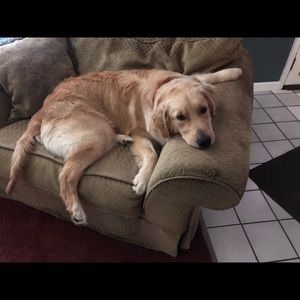 Meet your Posher, Sherry